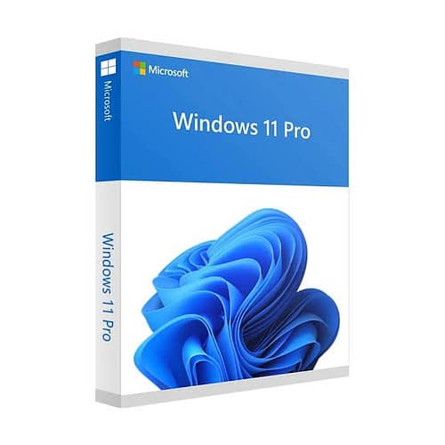 Windows 11 Pro